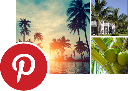 Lely Resort Florida Pinterest Board