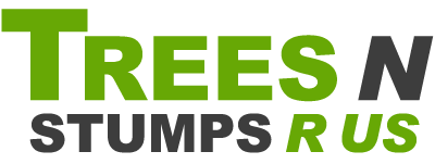 Tree service company in Naples Florida