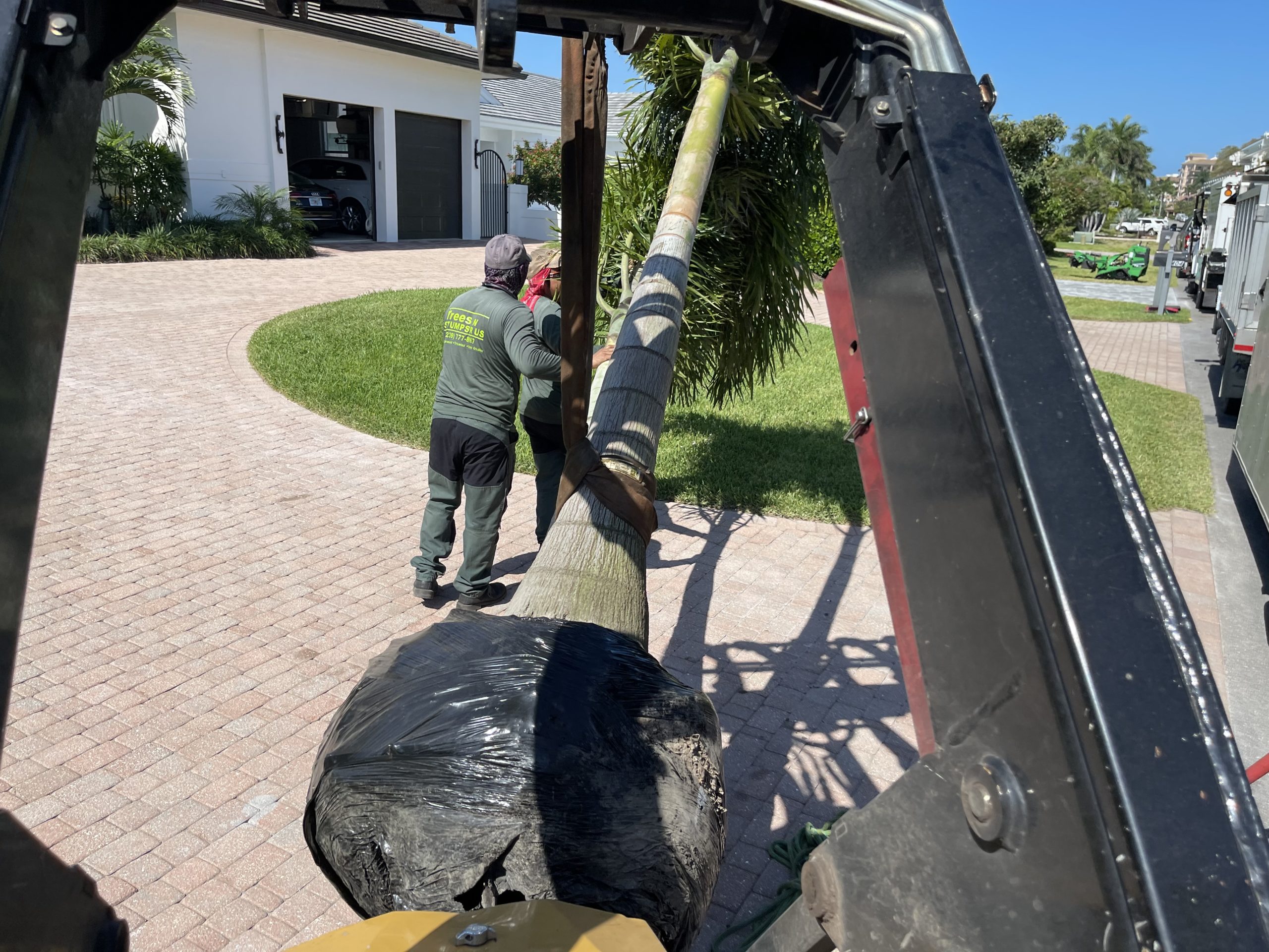 Golden Gate Florida residential tree company
