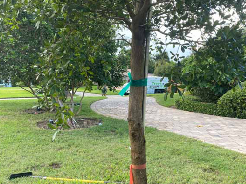 Experienced landscaping contractor in Naples, FL.