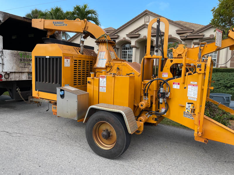 Stump removal company in Naples, FL.